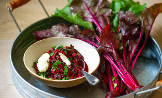 Perlotas („Perlotto“) su jaunais burokėliais (ir jų lapais)