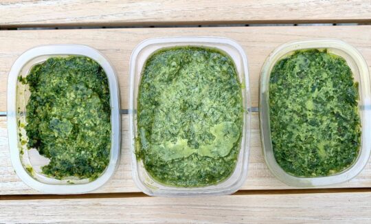 Gelsvių pesto padažas